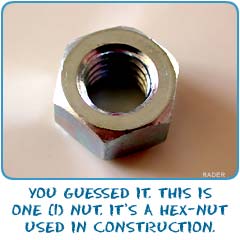 You guessed it. This is one nut. It's a hex-nut used in construction.