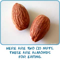 Here are two nuts. These are almonds for eating.
